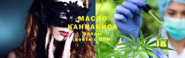 гашик Арсеньев