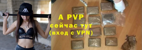 гашик Арсеньев