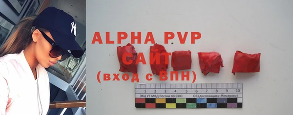 гашик Арсеньев
