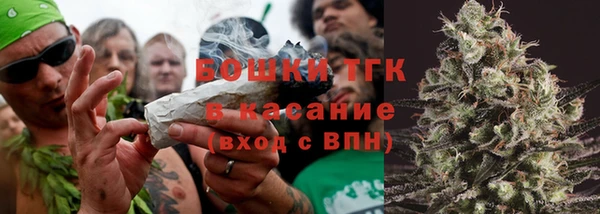 гашик Арсеньев