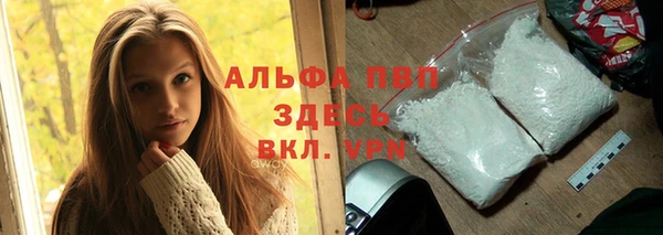 гашик Арсеньев